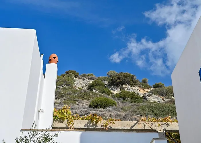 Blue Bliss Daire Ambrami