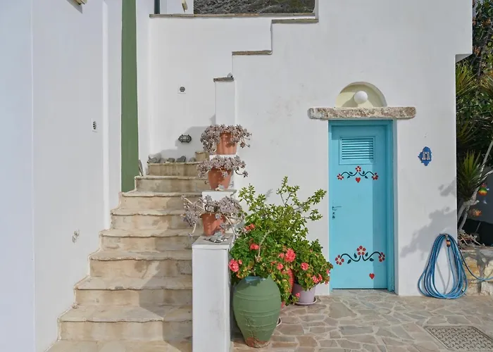 Blue Bliss Daire Ambrami